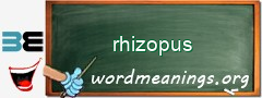 WordMeaning blackboard for rhizopus